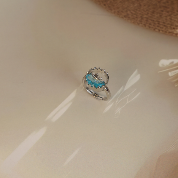 Love silver dolphine ring Boho Bloom